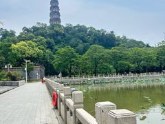 -顺峰山公园