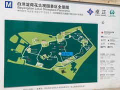 -白洋淀景区