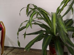 -莫泰酒店(厦门万象城火车站地铁站店)