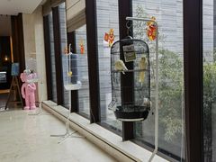 -上海崇明金茂凯悦酒店