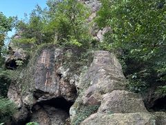 -树山生态村