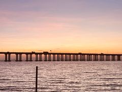 -宝安西湾红树林湿地公园