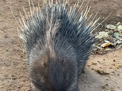 -鄂尔多斯野生动物园