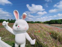 -花开海上生态园