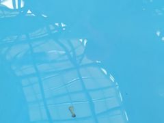 -广州融创水世界