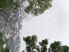 -东钱湖小普陀景区