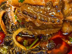 -肥龙火锅(南坪店)