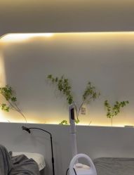 -VE小颜皮肤管理&科学美肤中心