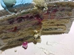 -勒甜LO CHO·私人订制低糖代糖纯动物奶油生日蛋糕(新开路店)