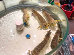 -强记海鲜·大排档(蛇口新街店)