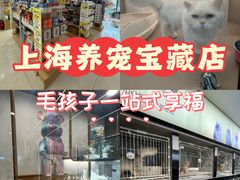 -翊宠yipet猫狗购宠庄园犬舍•猫舍