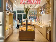 -远洋未来汇