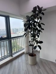 -HEYAN荷妍专业脱毛连锁机构