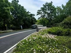 -同里国家湿地公园