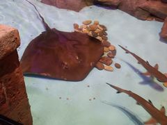 -波塞冬旅游度假区