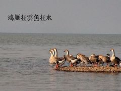 -鄱阳湖国家湿地公园