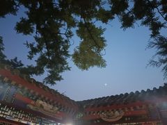 -宣武艺园