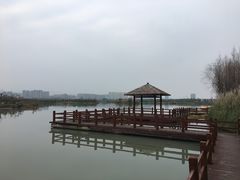 -三垟湿地