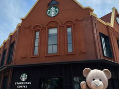 -荷兰花海