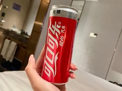 -北京丽亭华苑酒店