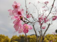 -福清灵石山国家森林公园