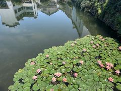 -东梓关景区村庄