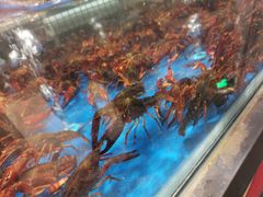 -盒马鲜生(莱蒙都会店)
