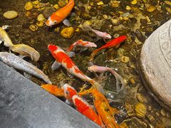 -颐和•海鲜砂锅粥•啫啫煲(奥林匹克广场店)