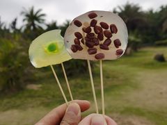 -白沙门生态公园