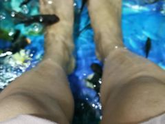 -泰国鱼疗足疗馆