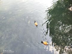 -长白岛森林公园