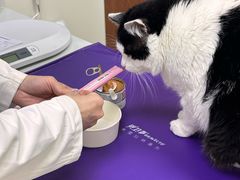 -美联众合动物医院·24h京西诊疗中心