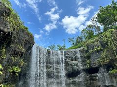 -新加坡飞禽公园