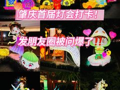 -星湖旅游景区七星岩