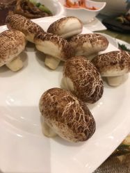 -成都世外桃源酒店-宴会厅·草坪婚礼·会议活动