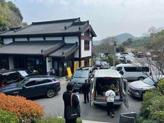 -十八棵（老龙井）御茶园(老龙井店)