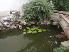 -苏州文旅花间堂·探花府酒店