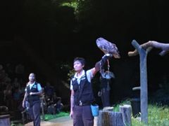 -夜间野生动物园