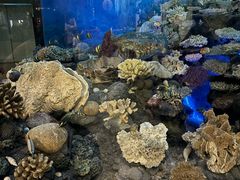 -浙江自然博物院(杭州馆)