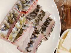 鱼皮-正能量脆肉鲩火锅