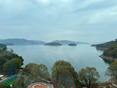 -逸廊大堂吧-下午茶·简餐-千岛湖自由洲际殿