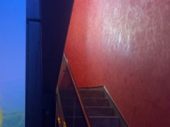 -唐元阁·影院足道SPA·养生会所