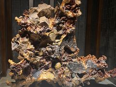 -乐山乌木文化博览苑