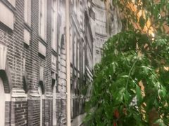 -鸽子窝(宋庄店)