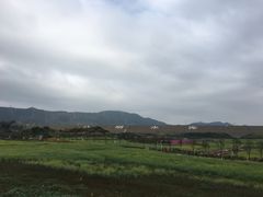 -光明小镇欢乐田园