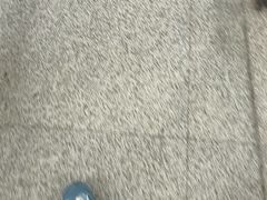 -富记鱼蛋粉(西村店)