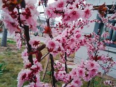 -花溪公园