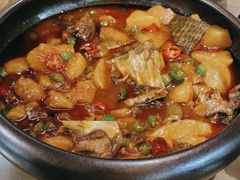 -青城甲(青城山店)