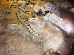 -世界恐龙谷景区