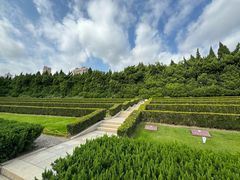 -上海市龙华烈士陵园